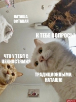 Невминкульт