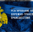 Реагирование                               на дорожно-транспортные                      происшествия - МЧС Псковской области