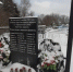 Межпоколенческое взаимодействие помогает раскрывать и сохранять страницы истории Псковской области в годы ВОВ - Союз пенсионеров России
