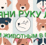 Студенты ПсковГУ запустили добровольческую акцию «Протяни руку лапке» - ПсковГУ
