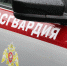 Находившегося в розыске алиментщика задержали росгвардейцы в Великих Луках - Pln-Pskov.Ru