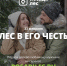 «Посади лес» предлагает дарить мужчинам деревья вместо носков - BusinessPskov.Ru