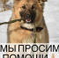 «Лесопилка» просит псковичей пополнить запасы круп для животных - InformPskov.Ru