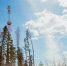 Tele2 подвел итоги технологического развития за второй год пандемии - Pln-Pskov.Ru