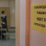 Искусственный интеллект будет проверять ЕГЭ по информатике в Псковской области - Псковская правда