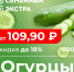 Грибы и огурцы подешевели в псковском магазине - BusinessPskov.Ru