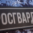 За неделю росгвардейцы выявили 26 нарушений правил оборота гражданского оружия - Росгвардия