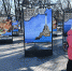 В Пскове - Крымская весна - Псковская Провинция