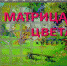 Художественная выставка «Матрица цвета» откроется в Пскове - Pln-Pskov.Ru
