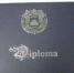 Дипломы вуза Праги пытались незаконно ввезти в РФ через псковскую границу - Pln-Pskov.Ru