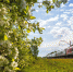 Фото: РЖД - InformPskov.Ru