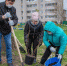 В Великих Луках проходит весенний месячник по благоустройству города - Pln-Pskov.Ru
