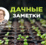 Дачные заметки. Готовим теплицу к весеннему севу - InformPskov.Ru