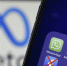 Игнорируя запреты – кто из псковских политиков продолжает вести Facebook* - Pln-Pskov.Ru