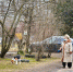 Площадка для выгула собак может появиться в Великих Луках - InformPskov.Ru