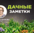 Дачные заметки. Советы по обустройству палисадника и обработке сада - InformPskov.Ru