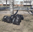 Школы города активно участвуют в конкурсе «Чистый Псков» - Pln-Pskov.Ru
