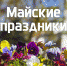 «Мир, труд, май!»: псковские випы рассказали о планах на длинные выходные - InformPskov.Ru