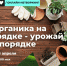 Накануне дачного сезона пройдет нетворкинг по органическому земледелию - BusinessPskov.Ru