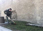 Губернаторский субботник