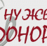 Донора для кота с анемией ищут в Пскове - InformPskov.Ru