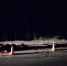 Лося сбили на дороге в Гдовском районе, пострадали два человека - Pln-Pskov.Ru