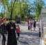 Выставка «Пустота внутри» открылась в центральном парке Пскова - Pln-Pskov.Ru