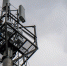 Tele2 прокачала мобильный интернет для дачников Псковской области - InformPskov.Ru