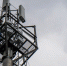 Tele2 улучшила качество мобильного интернета для дачников Псковской области - Pln-Pskov.Ru