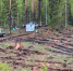 Фотографии - проект «Зеленая область» - InformPskov.Ru