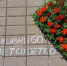 Псковичей пригласили присоединиться к массовой посадке цветов - BusinessPskov.Ru