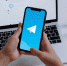 Главы районов массово шагнули в Telegram - Pln-Pskov.Ru