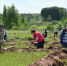 Слово «Россия» из живых деревьев появилось в Псковском районе - Pln-Pskov.Ru