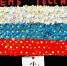 Псковские школьники сделали флаг России из искусственных ромашек. ФОТО - Pln-Pskov.Ru