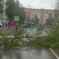 В Пскове ликвидируют последствия ночного урагана и ливней - FlashNord.Com