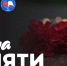Акция «Свеча памяти» состоится в Великих Луках 21 июня - Pln-Pskov.Ru
