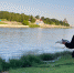 Мы знаем, что вы делали в эти выходные - BusinessPskov.Ru