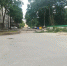 Фотофакт: Стихийный шлагбаум - Pln-Pskov.Ru