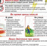 Правила поведения при грозе - Псковский район