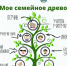 В Псковской области стартовал конкурс генеалогических исследований «Мое семейное древо» - Правительство Псковской области