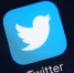 Мертвый псковский Twitter - Pln-Pskov.Ru