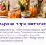 Цены на товары для заготовок снизились на 40% - BusinessPskov.Ru