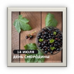День смородины