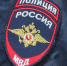 Псковская полиция официально опровергла интернет-слухи. Фото: Вконтакте - InformPskov.Ru
