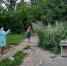Хозяина контейнера с мусором на Труда, 14 ищут в Пскове - InformPskov.Ru