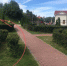 Пчелы ужалили детей и мужчин в Финском парке Пскова - Pln-Pskov.Ru