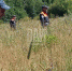 Фото с места поиска - InformPskov.Ru