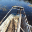 Скошенные водоросли удаляют из реки. Фото: Telegram - InformPskov.Ru