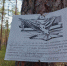 Фото:  «Грибы Псковской/Рыбалка на Чудском» - InformPskov.Ru