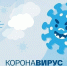 Более 96% заразившихся COVID-19 вылечились в мире - InformPskov.Ru